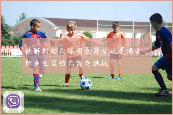 被解约的足球明星背后故事揭示了职业生涯的无常与挑战