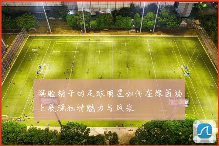 满脸胡子的足球明星如何在绿茵场上展现独特魅力与风采