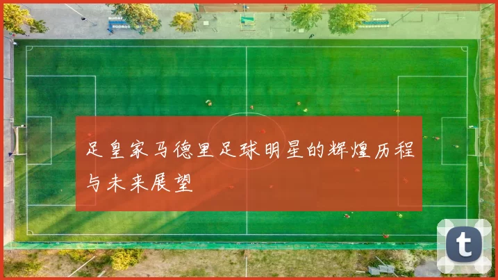 足皇家马德里足球明星的辉煌历程与未来展望