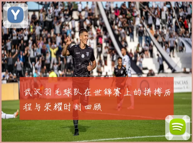 武汉羽毛球队在世锦赛上的拼搏历程与荣耀时刻回顾