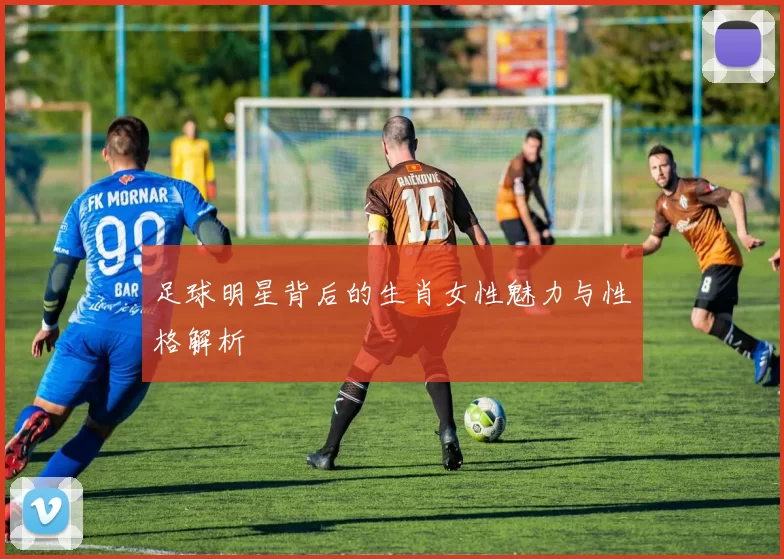 足球明星背后的生肖女性魅力与性格解析