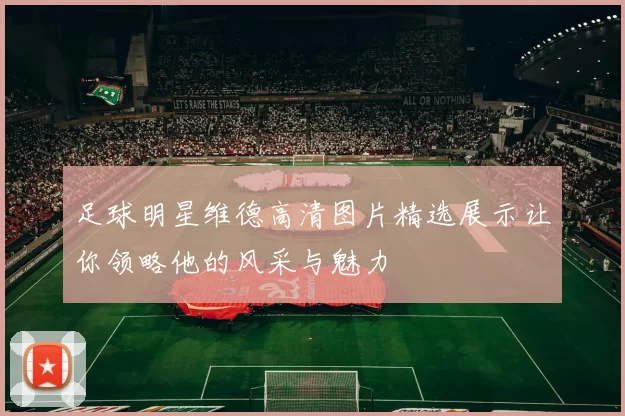 足球明星维德高清图片精选展示让你领略他的风采与魅力