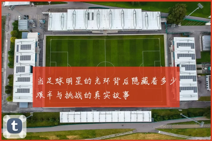当足球明星的光环背后隐藏着多少艰辛与挑战的真实故事