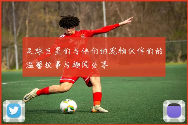 足球巨星们与他们的宠物伙伴们的温馨故事与趣闻分享