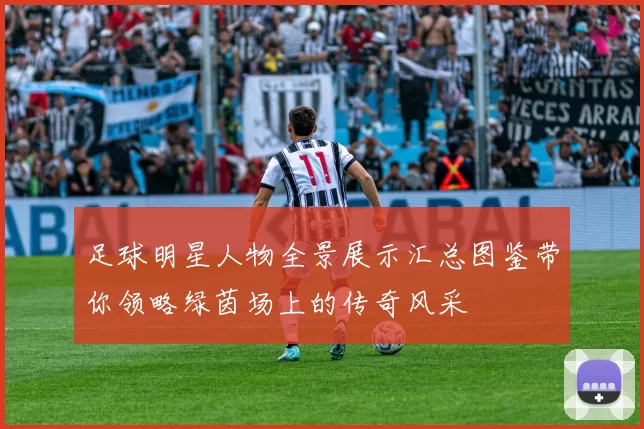 足球明星人物全景展示汇总图鉴带你领略绿茵场上的传奇风采