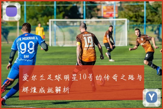 爱尔兰足球明星10号的传奇之路与辉煌成就解析