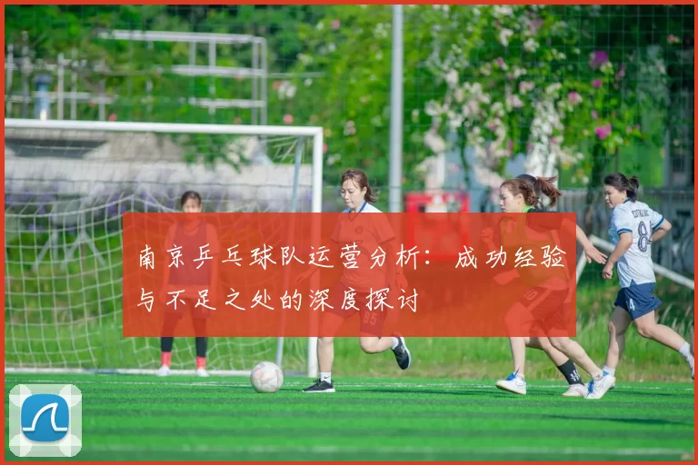南京乒乓球队运营分析：成功经验与不足之处的深度探讨