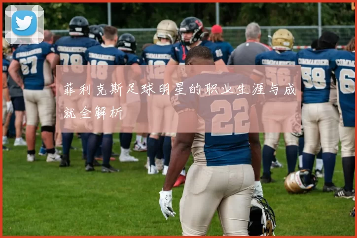 菲利克斯足球明星的职业生涯与成就全解析