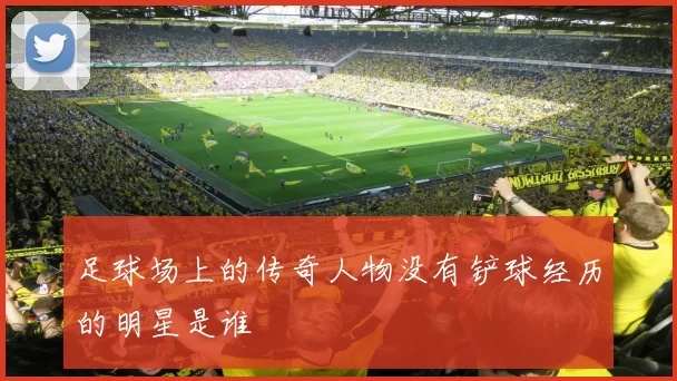 足球场上的传奇人物没有铲球经历的明星是谁